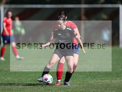 Bild-ID: 2562626