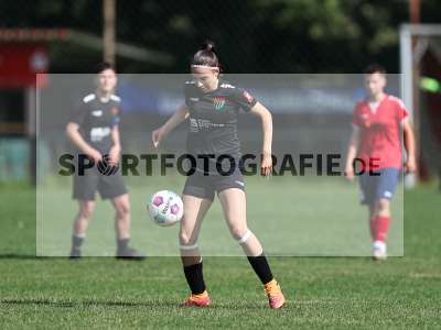 Bild-ID: 2562628