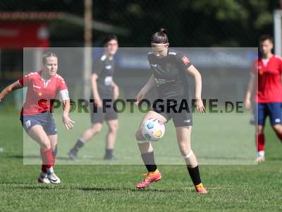 Bild-ID: 2562629