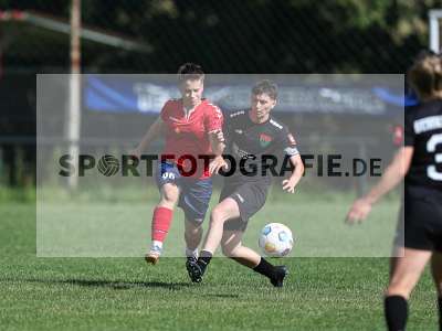 Bild-ID: 2562640