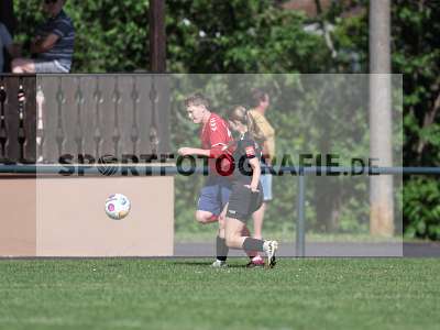 Bild-ID: 2562660