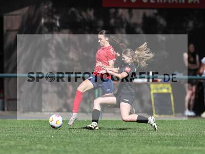 Bild-ID: 2562668