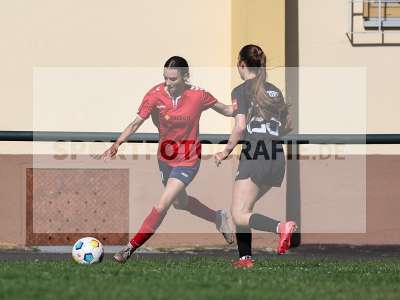 Bild-ID: 2562670