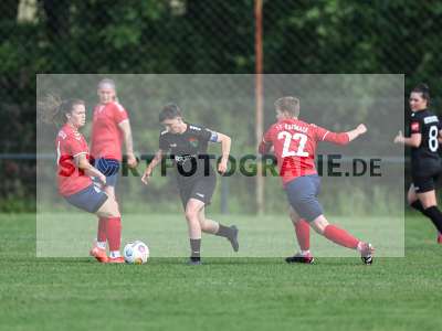 Bild-ID: 2562674