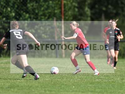 Bild-ID: 2562683