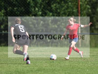 Bild-ID: 2562684