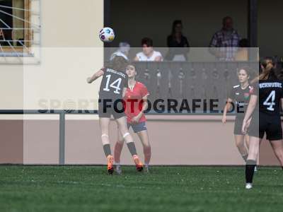 Bild-ID: 2562703