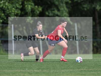 Bild-ID: 2562710