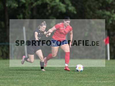 Bild-ID: 2562713
