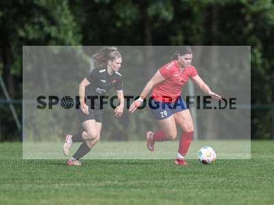 Bild-ID: 2562715