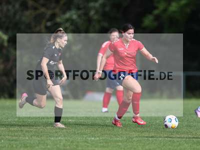 Bild-ID: 2562717