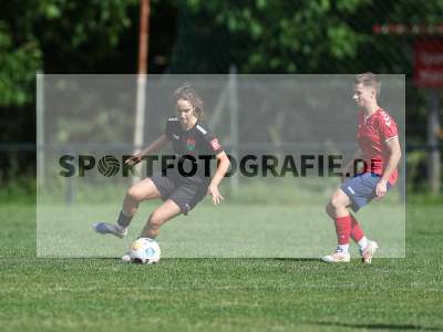 Bild-ID: 2562726