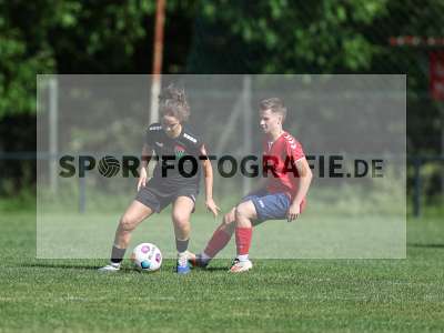 Bild-ID: 2562727
