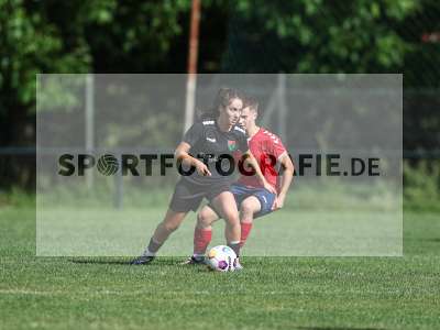 Bild-ID: 2562728