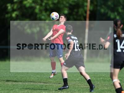Bild-ID: 2562743
