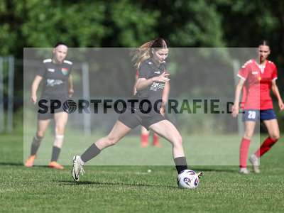 Bild-ID: 2562769