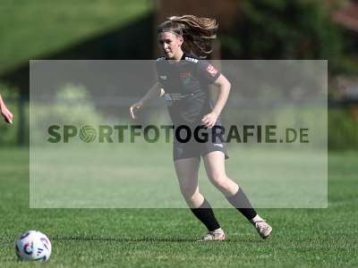 Bild-ID: 2562773