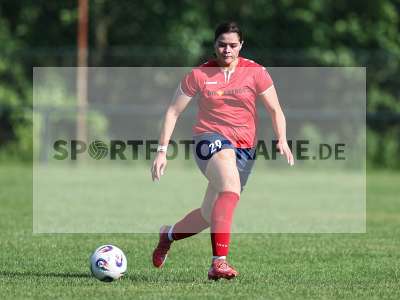 Bild-ID: 2562784