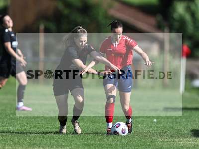 Bild-ID: 2562789