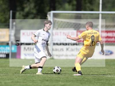 Bild-ID: 2562810