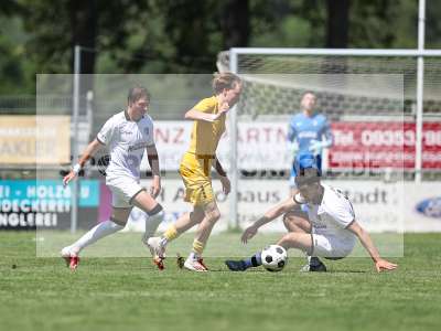 Bild-ID: 2562940