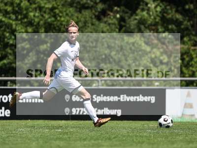 Bild-ID: 2562948