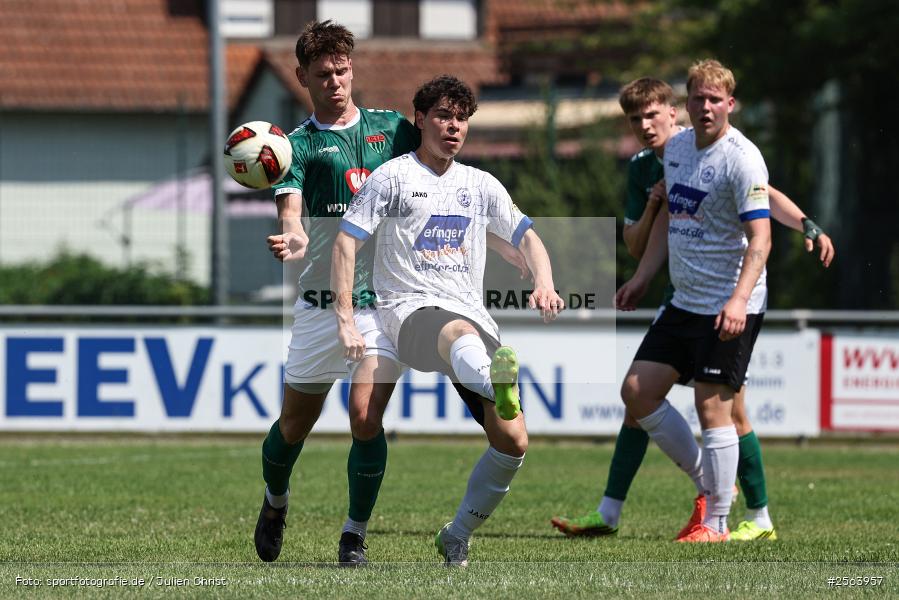 sport, Schömig-Digitaldruck-Arena, Rimpar, Regionalliga Bayern, Landesfreundschaftsspiele, Fussball, Bezirksliga Unterfranken West, BFV, ASV Rimpar, 27.06.2026, 1. FC Schweinfurt 1905 - Bild-ID: 2563957