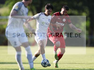Bild-ID: 2563562