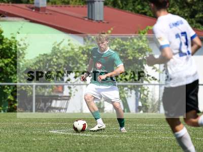 Bild-ID: 2563931