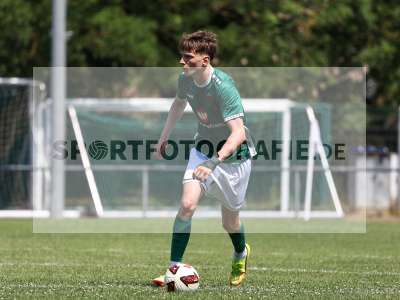 Bild-ID: 2563932