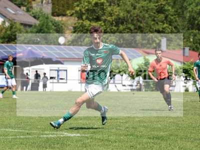Bild-ID: 2563940