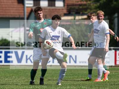 Bild-ID: 2563955