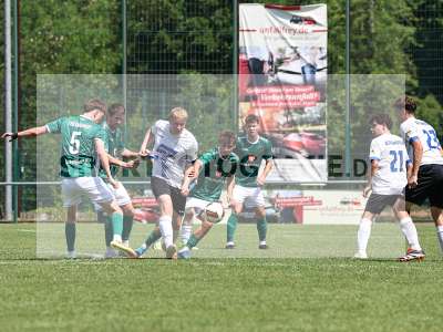 Bild-ID: 2563974