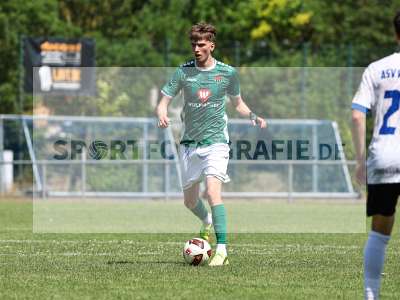 Bild-ID: 2563979
