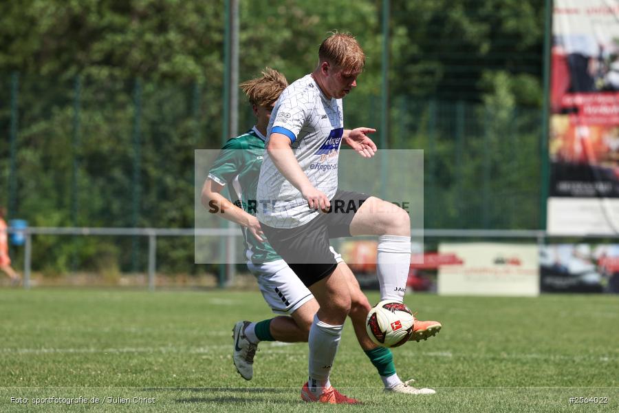 sport, Schömig-Digitaldruck-Arena, Rimpar, Regionalliga Bayern, Landesfreundschaftsspiele, Fussball, Bezirksliga Unterfranken West, BFV, ASV Rimpar, 27.06.2026, 1. FC Schweinfurt 1905 - Bild-ID: 2564022