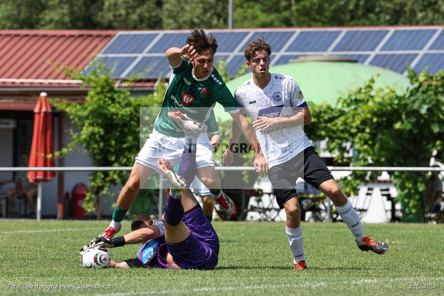 sport, Schömig-Digitaldruck-Arena, Rimpar, Regionalliga Bayern, Landesfreundschaftsspiele, Fussball, Bezirksliga Unterfranken West, BFV, ASV Rimpar, 27.06.2026, 1. FC Schweinfurt 1905 - Bild-ID: 2564134