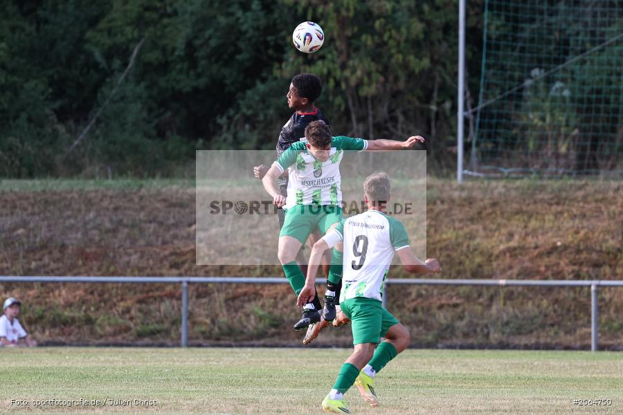 sport, Thüngersheim, Sportgelände, Sportfest, Kreisliga Würzburg Gr. 2, Fussball, Freundschaftsspiel, FV Thüngersheim, FC Würzburger Kickers, 30.06.2026, 3. Liga - Bild-ID: 2564750