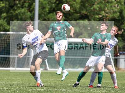 Bild-ID: 2564004