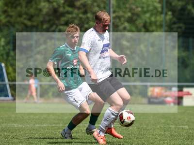 Bild-ID: 2564019