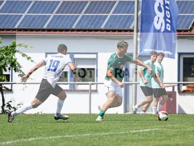 Fotos von ASV Rimpar - 1. FC Schweinfurt 1905 auf sportfotografie.de
