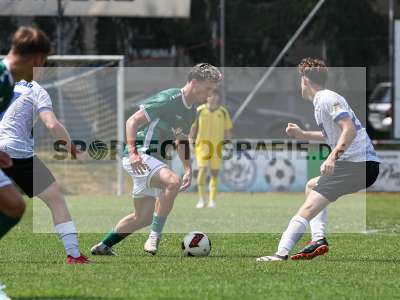 Bild-ID: 2564106