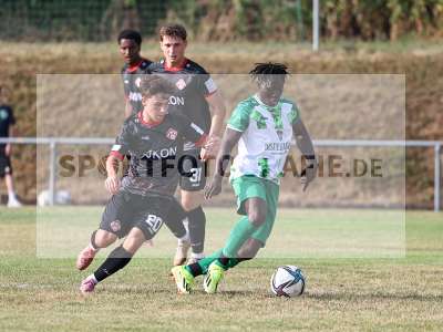 Bild-ID: 2564674