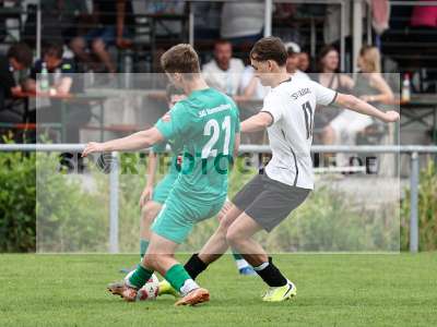 Bild-ID: 2565915