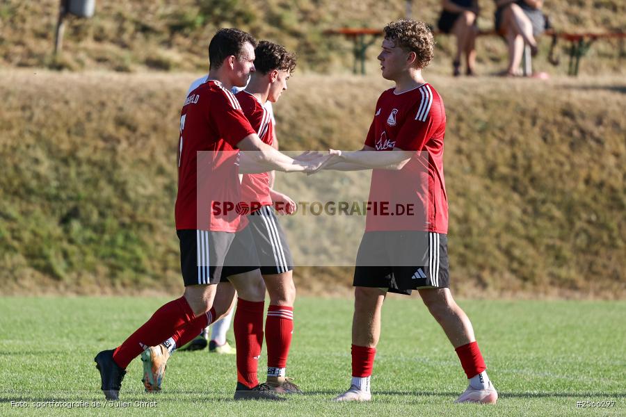 sport, Sportgelände, SV Germania Erlenbach, SV Birkenfeld, Kreisklasse Würzburg Gr. 3, Fussball, Freundschaftsspiel, Birkenfeld, Bezirksliga Ufr. West, 09.07.2026 - Bild-ID: 2566297