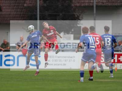 Bild-ID: 2566008