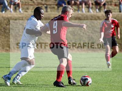 Bild-ID: 2566211