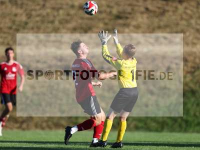 Bild-ID: 2566546