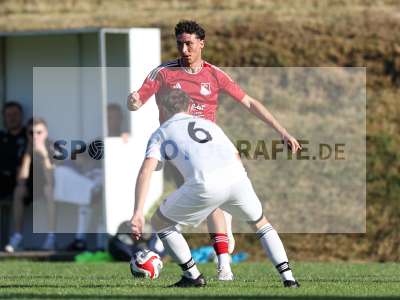 Bild-ID: 2566565