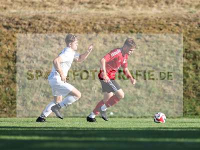 Bild-ID: 2566605