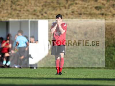 Bild-ID: 2566611